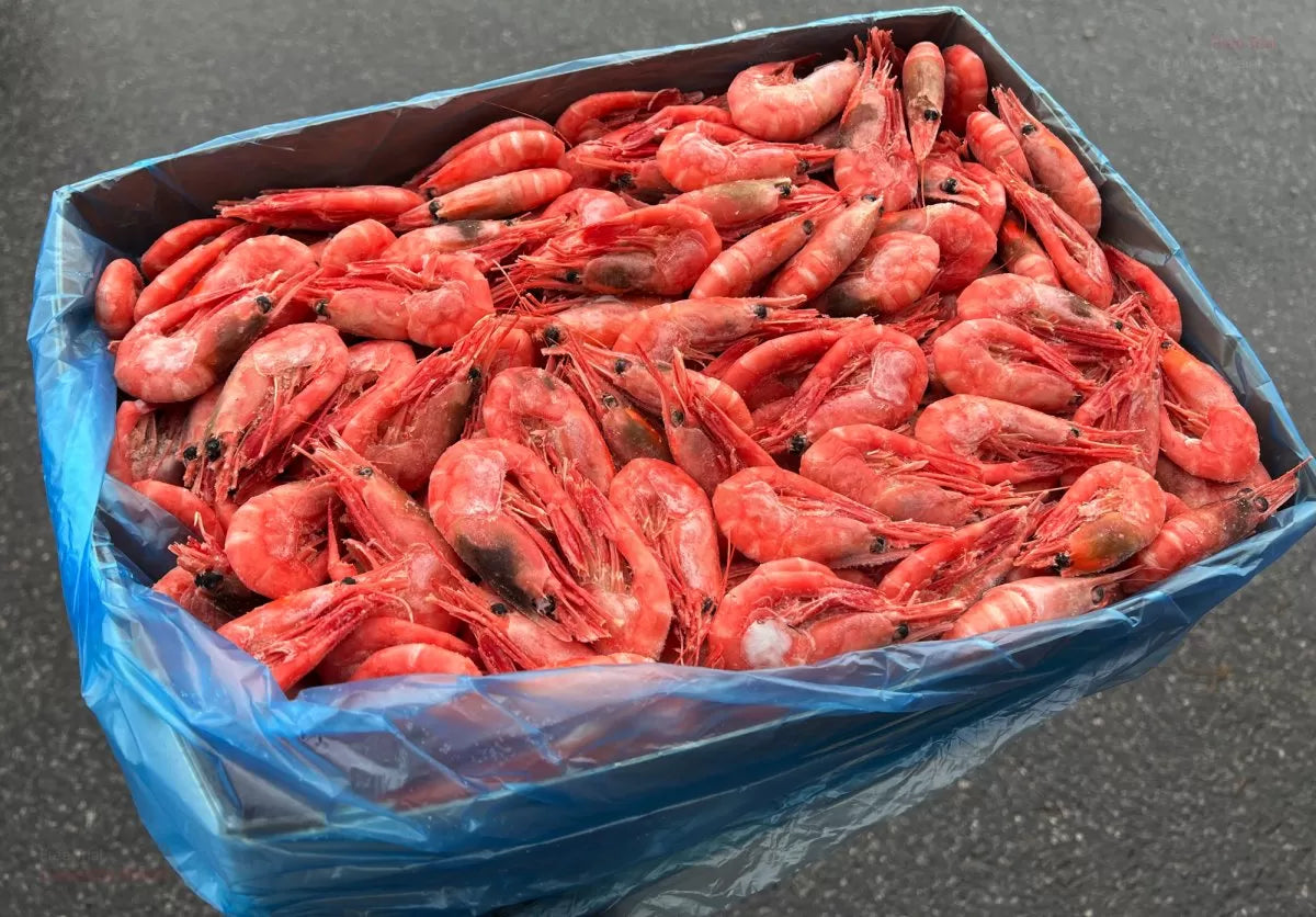 Räklåda 5kg 40/60